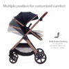 688a64802d7aba1d8249b80dc697878a29d895527ca66b0398579.jpg 2 in 1 Baby Stroller, Newborn Infant Toddler Convertible Bassinet Pram Stroller for 0-36 Months Old Babies (Black)