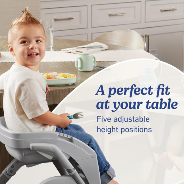 Graco DuoDiner DLX 6-in-1 Highchair, Mathis