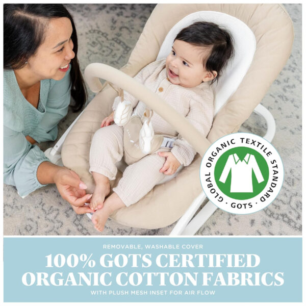 Baby Delight Aura Deluxe | Portable Baby Bouncer for Infants | Baby Rocker | Quilted Charcoal Tweed