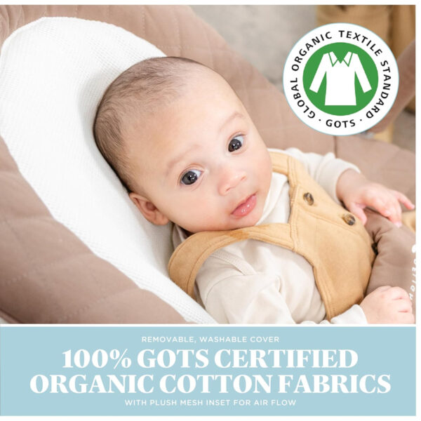 Baby Delight Aura Deluxe | Portable Baby Bouncer for Infants | Baby Rocker | Quilted Charcoal Tweed