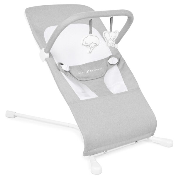 Baby Delight Highland Baby Bouncer | Infant | 0 – 6 Months | 3-Position Recline | Sage Tweed