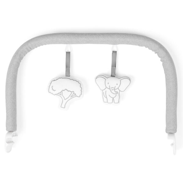 Baby Delight Highland Baby Bouncer | Infant | 0 – 6 Months | 3-Position Recline | Sage Tweed