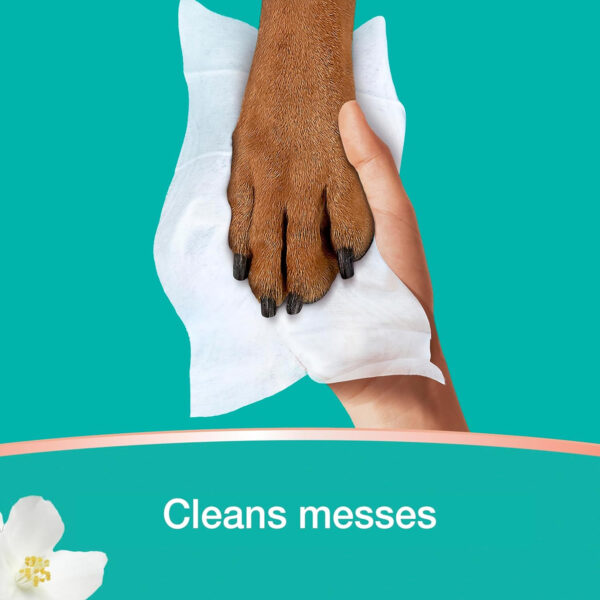 688a7c3fe343417a51bac4f6e4d61f6ddde083b232649d0f49676.jpg Pampers Wipes, Clean & Calm, Cotton Blossom Scent, 336 Wipes Total (6X Pop-Top Packs)