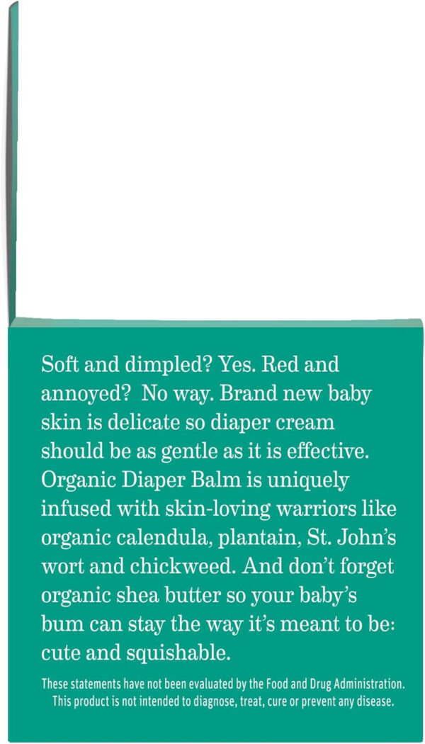 Earth Mama Organic Diaper Balm 2-Ounce | Diaper Cream for Baby | EWG Verified, Petroleum & Artificial Fragrance-Free with Calendula for Sensitive Skin (2-Pack)