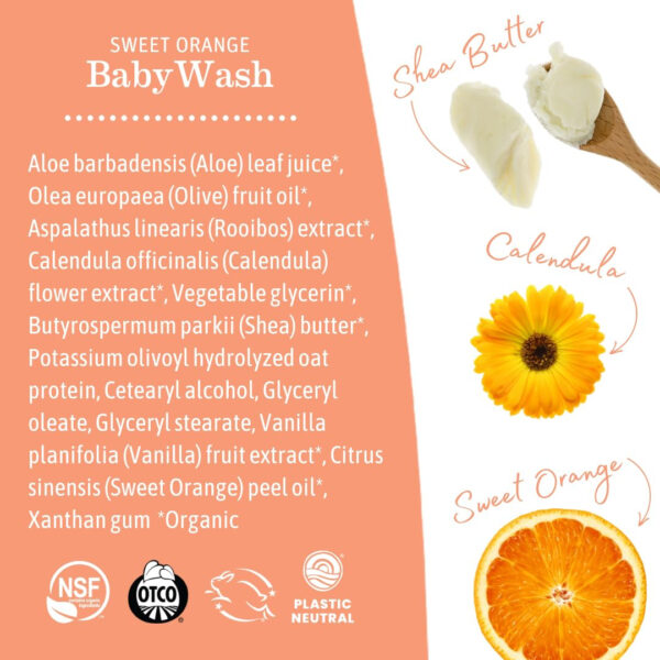 688a810c87add678becd647cfe08f8a3649d1a9a26f3683d8c9a1.jpg Earth Mama Sweet Orange Baby Lotion | Moisturizing Body Lotion for Dry Skin, Newborn Baby Lotion Sensitive Skin Care, Face Lotion for Babies & Kids with Shea Butter, Calendula & Aloe, 8 Fl Oz