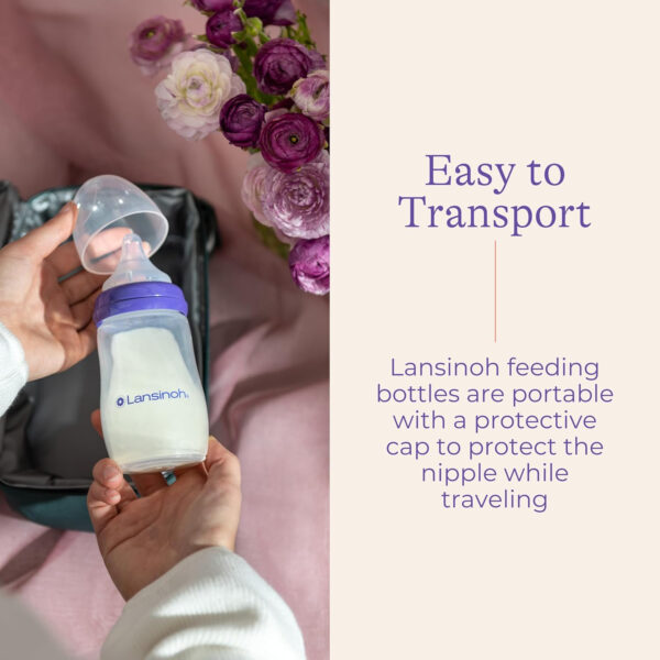 Lansinoh Anti-Colic Baby Bottles for Breastfeeding Babies, 8 Ounces, 3 Count, Includes 3 Medium Flow Nipples, Size M