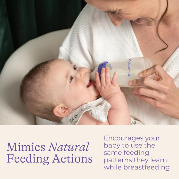 Lansinoh Anti-Colic Baby Bottles for Breastfeeding Babies, 8 Ounces, 3 Count, Includes 3 Medium Flow Nipples, Size M