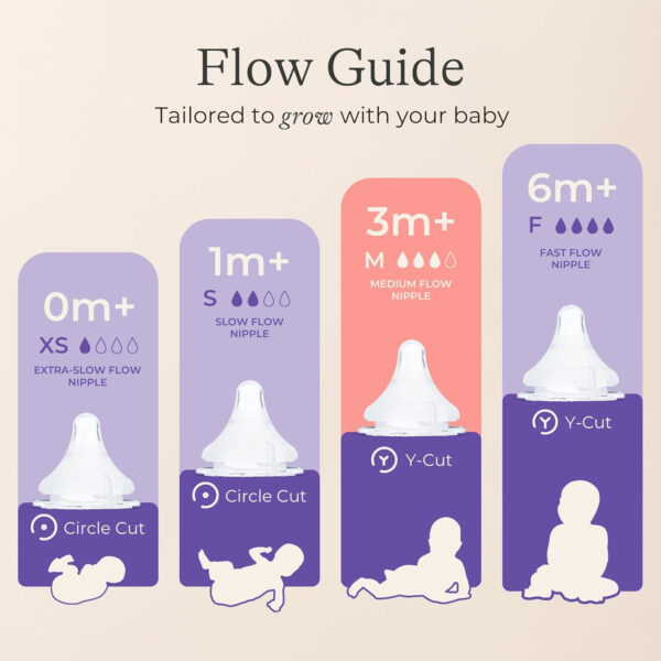 Lansinoh Anti-Colic Glass Baby Bottles, 5 Ounces, 4 Count Bottles for Feeding, Baby Essentials, Includes 4 Slow Flow Nipples, Size S