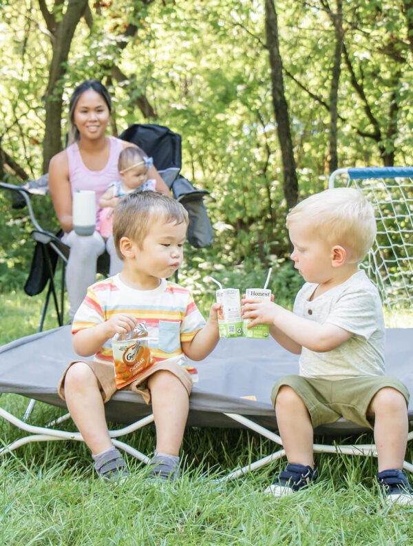Regalo My Cot Deluxe Portable Toddler Bed with Canopy, Provides UV Protection