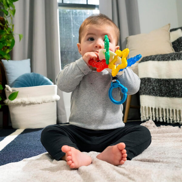 688b0625be197af42855b865bef4016efd9b742903199c551de35.jpg Baby Einstein Teether-pillar Rattle and Chill Teething Toy, Ages 3 months +