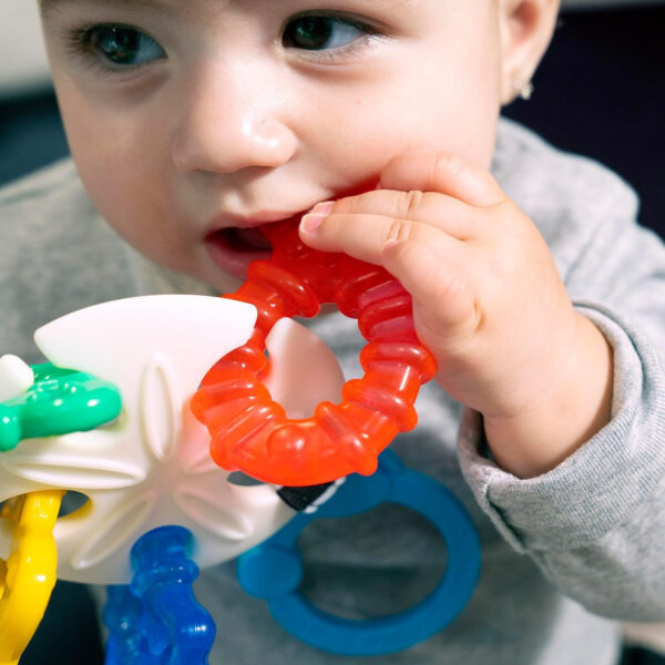 688b06271ceb46e31e46b0dab5f6046693f01eb28778f03d2830f.jpg Baby Einstein Teether-pillar Rattle and Chill Teething Toy, Ages 3 months +