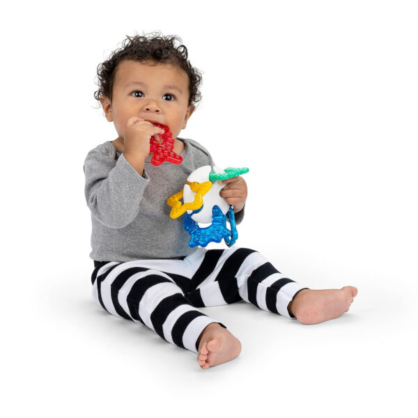 688b06317867e09efa2dfe7d11003c365a05b3aeb2e47ab48ef1e.jpg Baby Einstein Teether-pillar Rattle and Chill Teething Toy, Ages 3 months +
