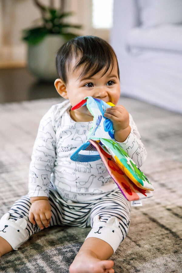 688b06460d5b07e4388f718b8408484ce44676f8529c624a1b3ac.jpg Baby Einstein Teether-pillar Rattle and Chill Teething Toy, Ages 3 months +