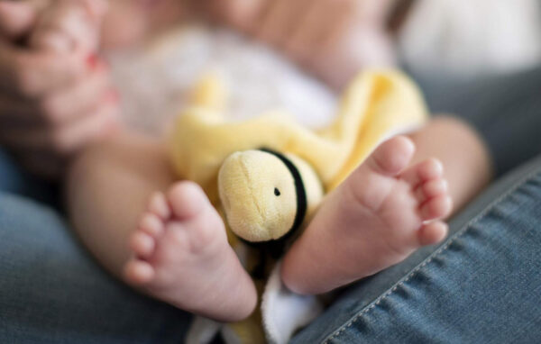 Burt's Bees Baby Baby Plush Toy Lovey, Hold Me Bee Stuffed Security Blanket, Infants Comfort Object, Made with Organic Velour Shell with Polyester, Sunshine Color, Size 12x12x3 Inches