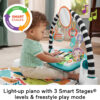 Fisher-Price Baby Playmat Deluxe Kick & Play Piano Gym for Learning & 2 Maracas Soft Rattles for Newborn to Toddler Play Ages 0+ Months