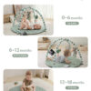 Blissful Diary Baby Play Gym Mat, Tummy Time Mat with 6 Detachable Toys for Stage-Based Sensory & Motor Skill Development, Baby Activity Mat Easy to Install & Clean, Baby Essentials Gift, Sage Green