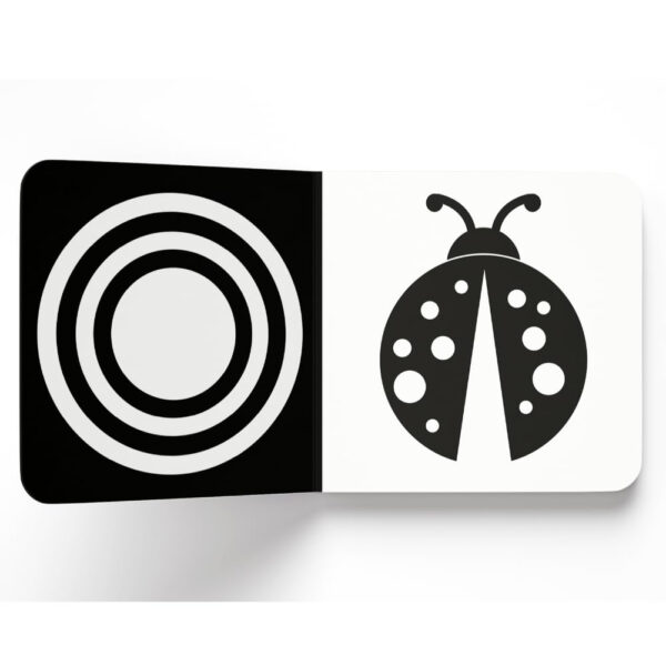 Baby’s First High-Contrast Books: Boxed Set (High Contrast Board Books)