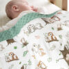 BOPRIO Baby Blankets for Unisex Boys Girls, Super Soft Nursery Minky Blankets with Baby Elephant Design and Dotted Fleece Backing, Printed Bed Throws Newborn