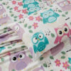 Sheet Set For Girls/Teens Multi-Color Owls Aqua Pink Purple Singing Owl Hearts Flower Leaves New  Owl (Full)