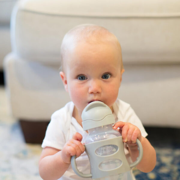 Dr. Brown's Milestones Wide-Neck Sippy Straw Bottle with 100% Silicone Handles and Weighted Straw, 9 oz/270 mL, Gray & Pink, 6m+, 2 Count (Pack of 1)