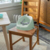 Ingenuity: ity by Ingenuity My Spot Easy-Clean Baby Booster Feeding Chair, 3-Point Harness, Washable Removable Straps - Teal