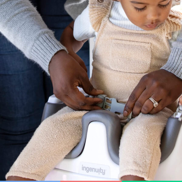 Ingenuity Baby Base 2-in-1 Seat - Slate - Booster Feeding Seat