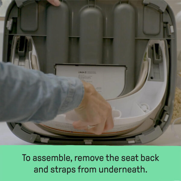 Ingenuity Baby Base 2-in-1 Booster Feeding and Floor Seat with Self-Storing Tray - Peony