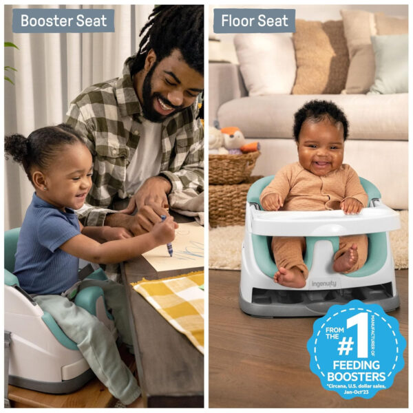 Ingenuity Baby Base 2-in-1 Booster Feeding and Floor Seat with Self-Storing Tray - Peony