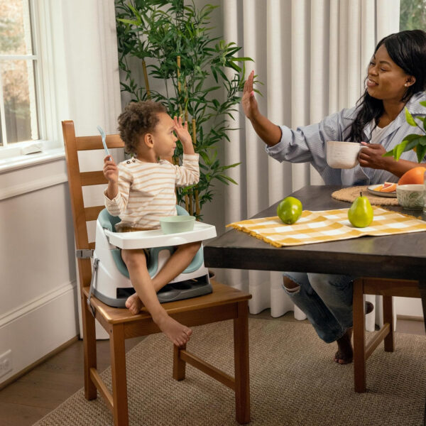 Ingenuity Baby Base 2-in-1 Booster Feeding and Floor Seat with Self-Storing Tray - Peony