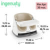 Ingenuity Baby Base 2-in-1 Booster Feeding and Floor Seat with Self-Storing Tray - Peony