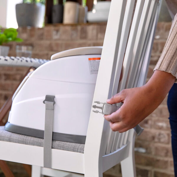 Ingenuity Baby Base 2-in-1 Booster Feeding and Floor Seat with Self-Storing Tray - Peony