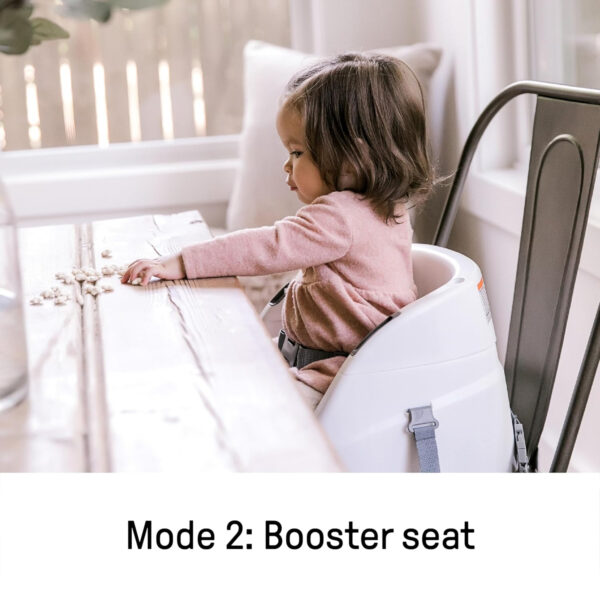 Ingenuity Baby Base 2-in-1 Booster Feeding and Floor Seat with Self-Storing Tray - Peony