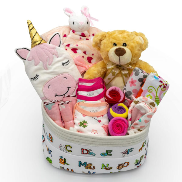 Joyful Arrival Deluxe Baby Girl Gift Basket | 20-Piece Newborn Baby Girl Gift Set | Baby Gift for Expecting Moms and Gender Reveals | New Baby Gift Basket | Baby Gift Set - Pink | Nikki's Gift Baskets