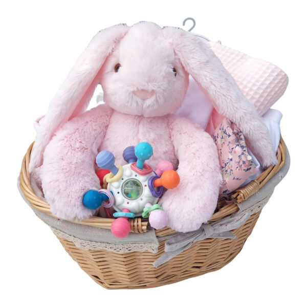 Deluxe Baby Shower Gifts Set for Girl, 21 New Baby Essentials, Gifts for Expecting Moms, Unique Baby Girl Gifts,Baby Girl Clothes,Socks,Blanket & Washcloths,Pink - Gift Baskets